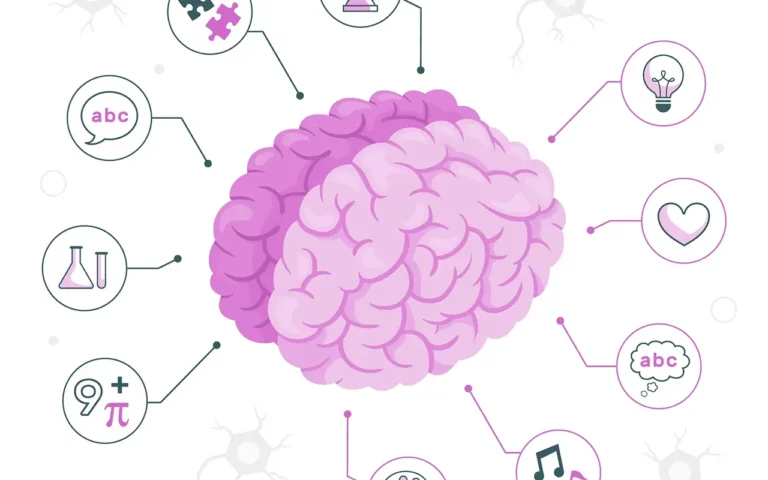 Illustration d'un cerveau en pleine phase d'apprentissage, symbolisant le développement cognitif et la mémoire.